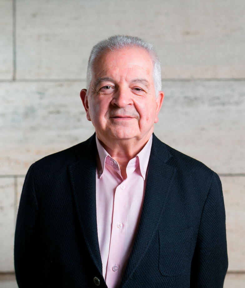 Borja de Riquer - Historiador