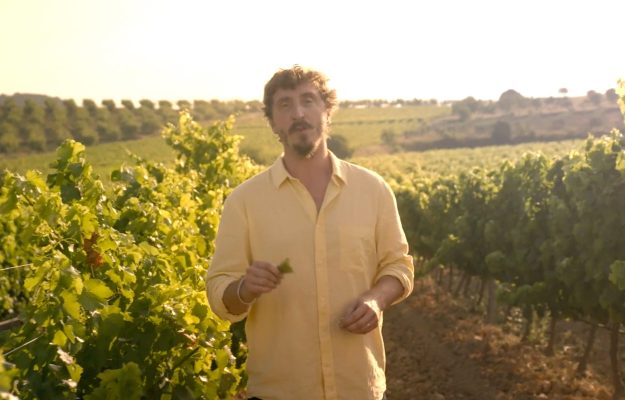 Terra Alta, terra teua