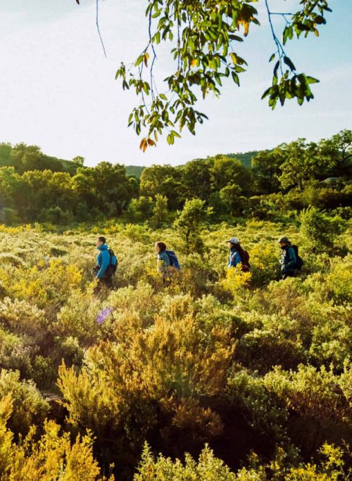 Abacus-idea-Transpirinenca-descobrir-3