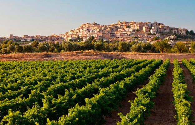 abacus-idea-terra-alta