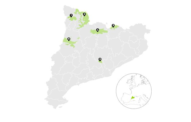 abacus-idea-viu-els-parcs