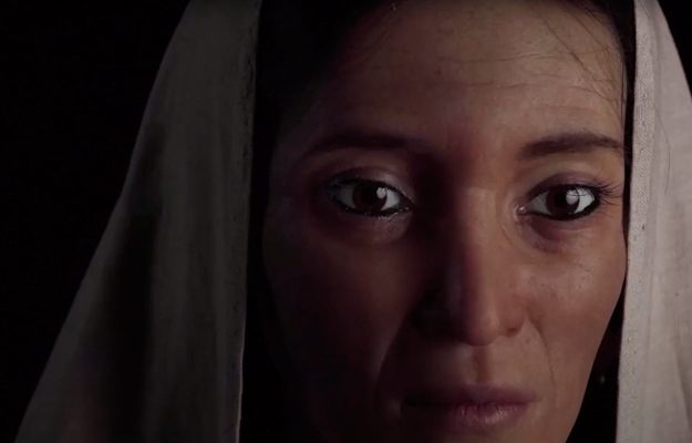 abacusidea-alula-protada