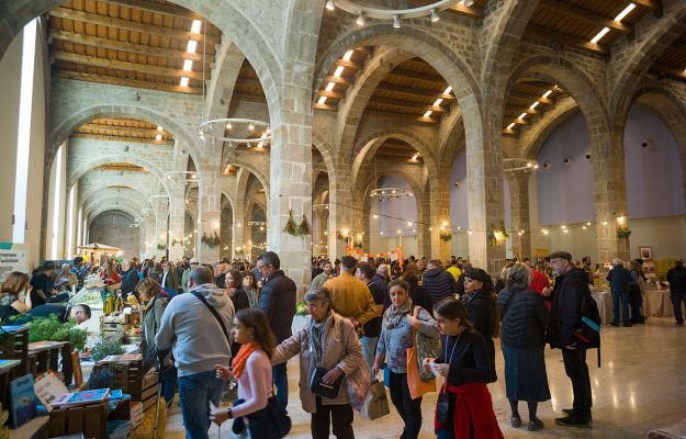 abacusidea-festa-arrels